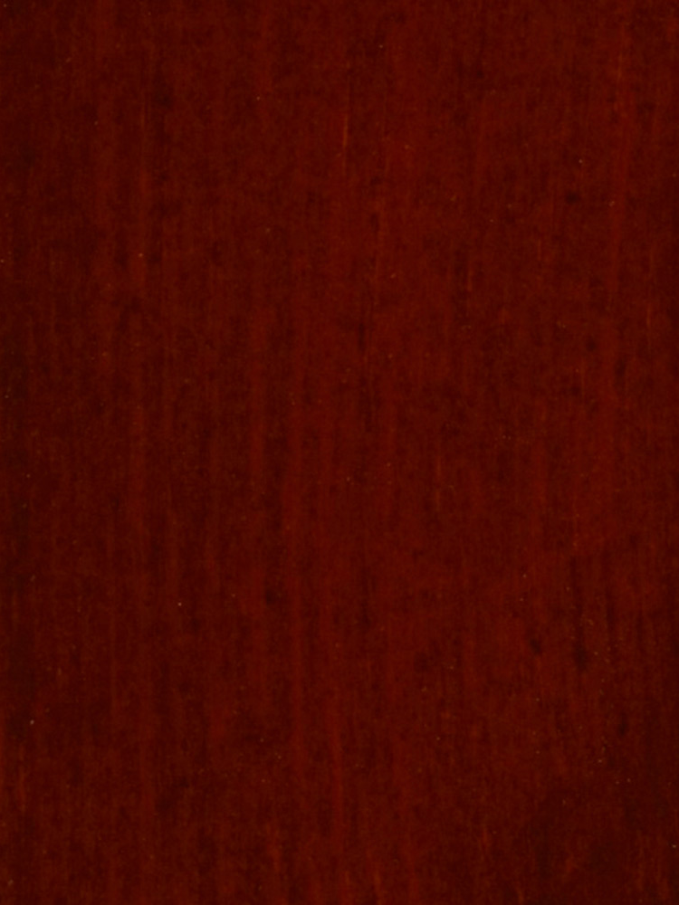 WP 09